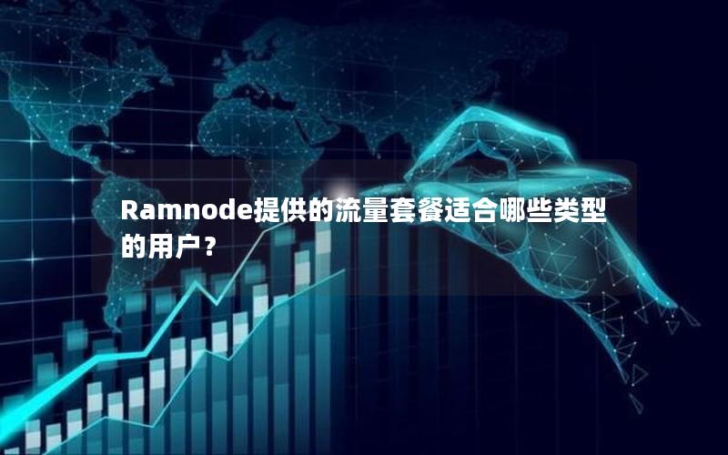 Ramnode提供的流量套餐适合哪些类型的用户？