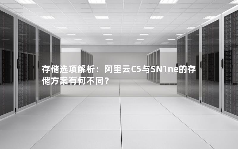 存储选项解析：阿里云C5与SN1ne的存储方案有何不同？