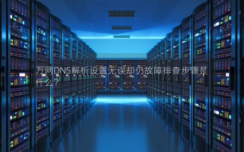 万网DNS解析设置无误却仍故障排查步骤是什么？