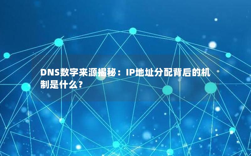 DNS数字来源揭秘：IP地址分配背后的机制是什么？