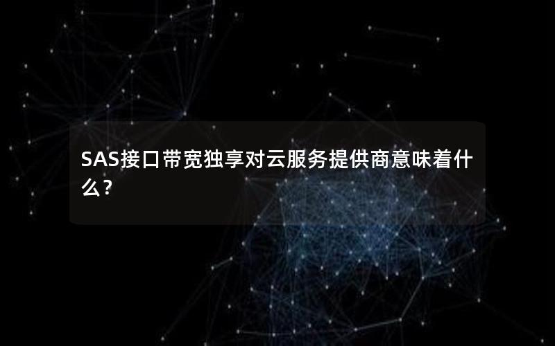 SAS接口带宽独享对云服务提供商意味着什么？