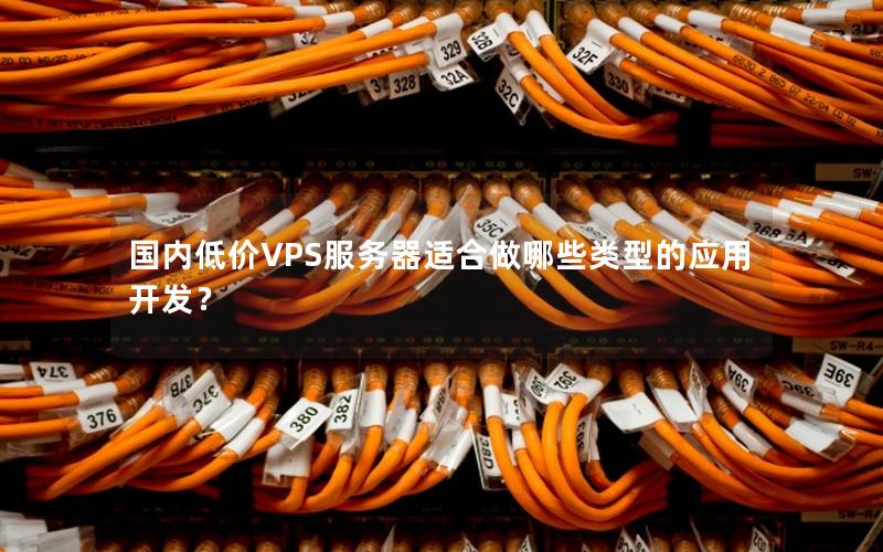 国内低价VPS服务器适合做哪些类型的应用开发？