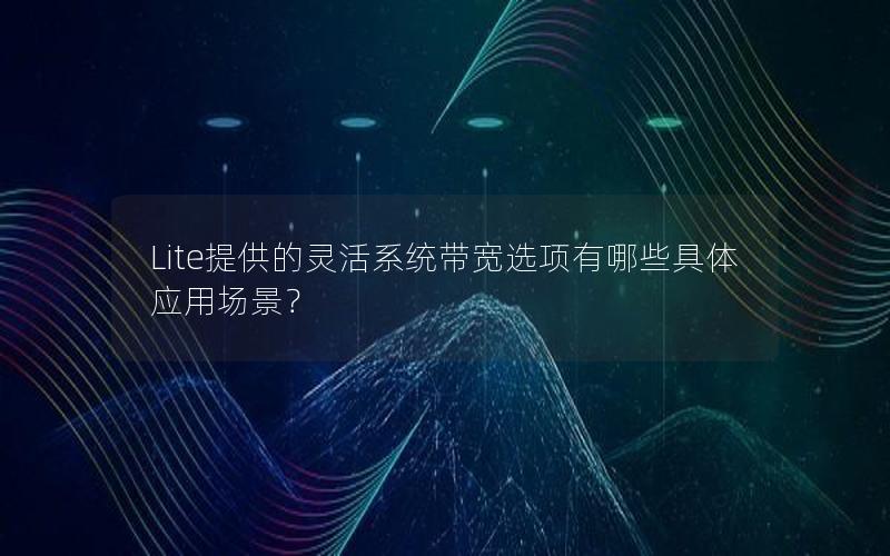 Lite提供的灵活系统带宽选项有哪些具体应用场景？