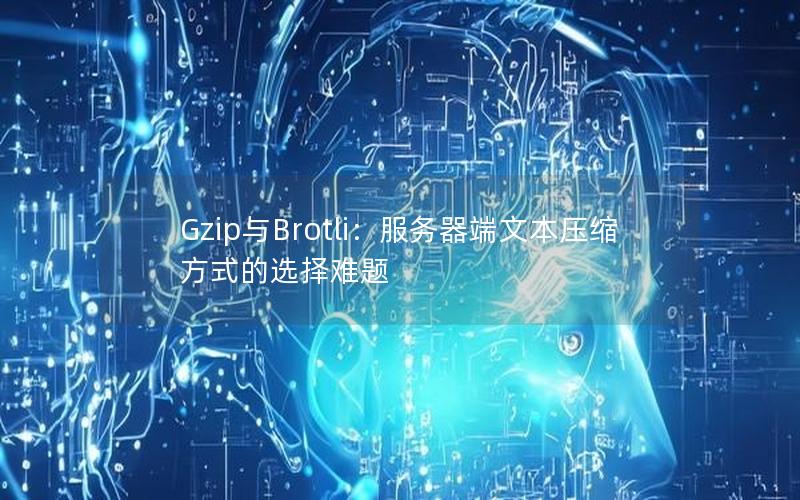 Gzip与Brotli：服务器端文本压缩方式的选择难题