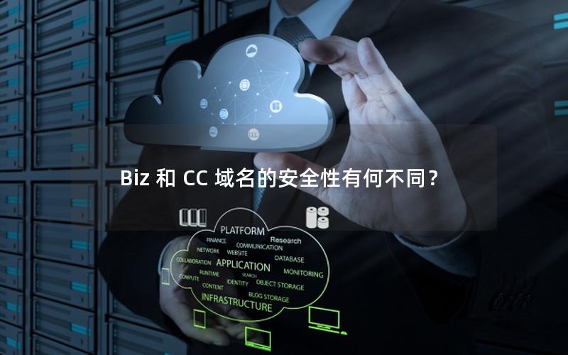 Biz 和 CC 域名的安全性有何不同？