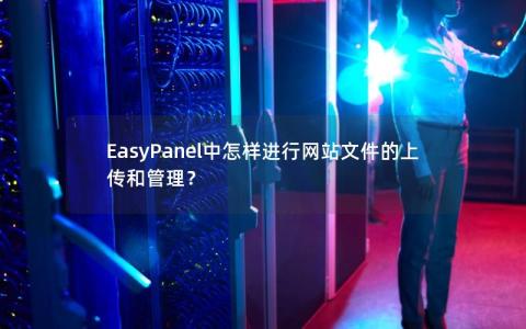 EasyPanel中怎样进行网站文件的上传和管理？