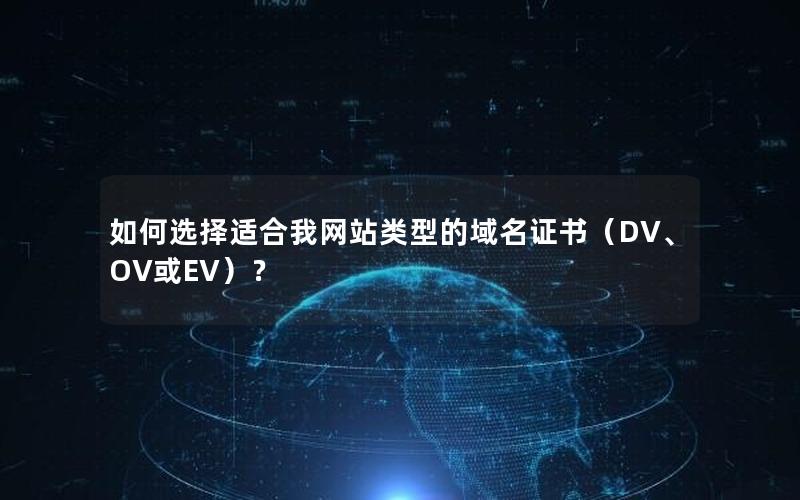 如何选择适合我网站类型的域名证书（DV、OV或EV）？