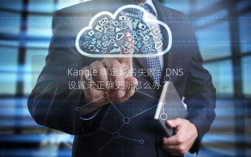 Kangle 绑定域名失败：DNS 设置未正确更新怎么办？