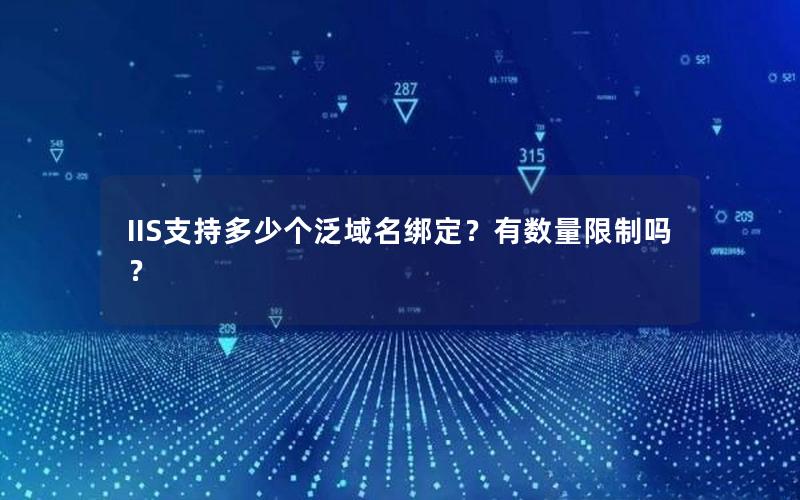 IIS支持多少个泛域名绑定？有数量限制吗？