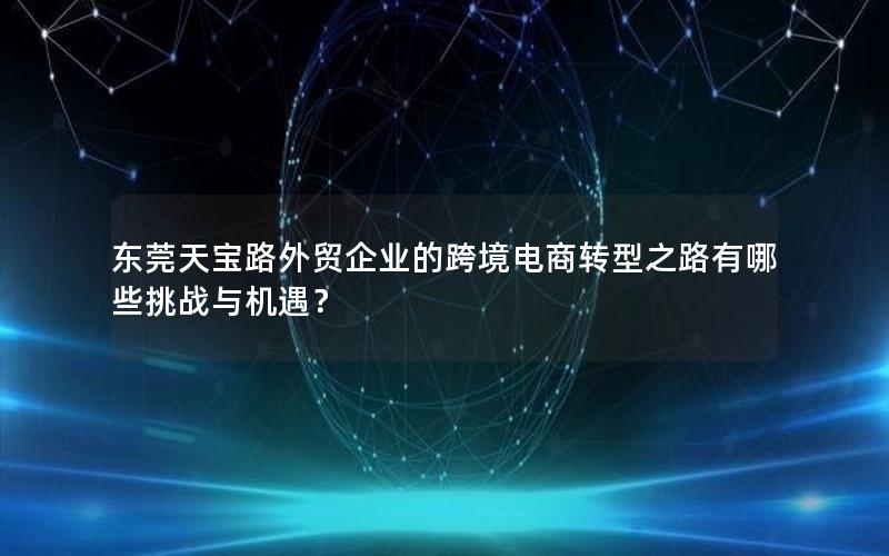 东莞天宝路外贸企业的跨境电商转型之路有哪些挑战与机遇？