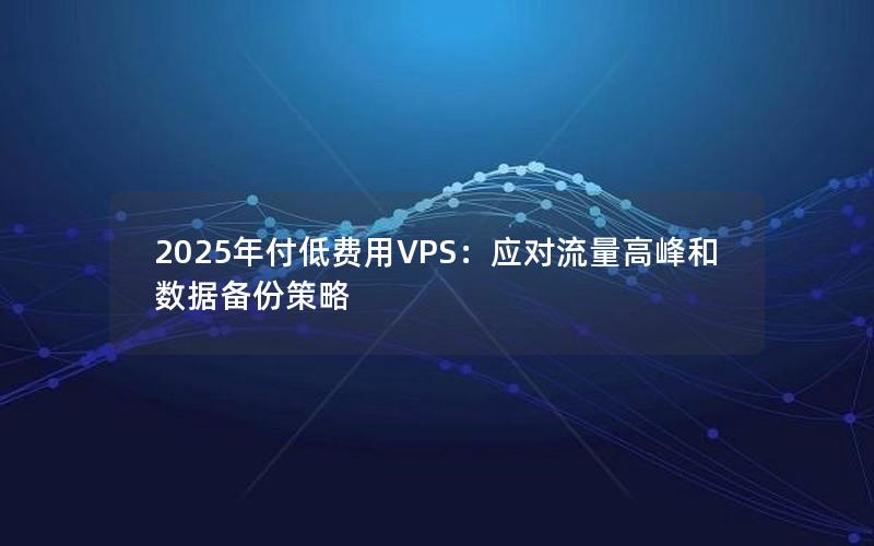 2025年付低费用VPS：应对流量高峰和数据备份策略