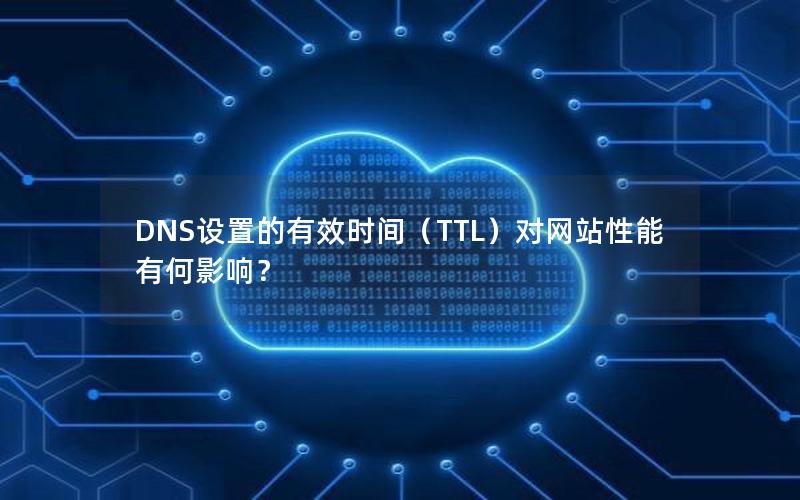 DNS设置的有效时间（TTL）对网站性能有何影响？