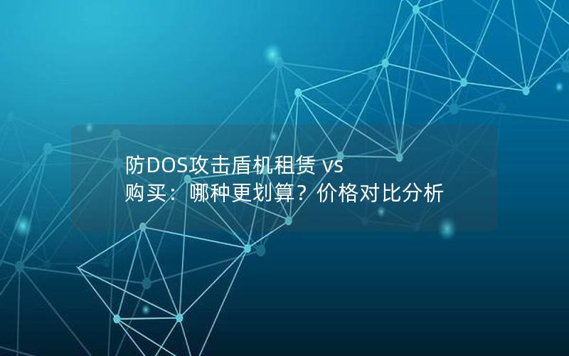 防DOS攻击盾机租赁 vs 购买：哪种更划算？价格对比分析