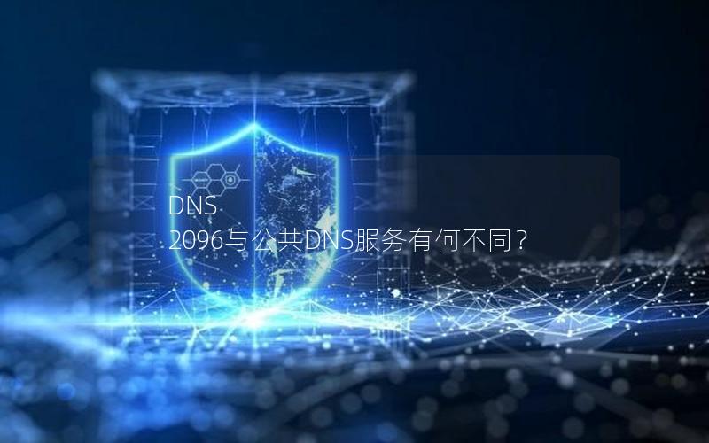 DNS 2096与公共DNS服务有何不同？