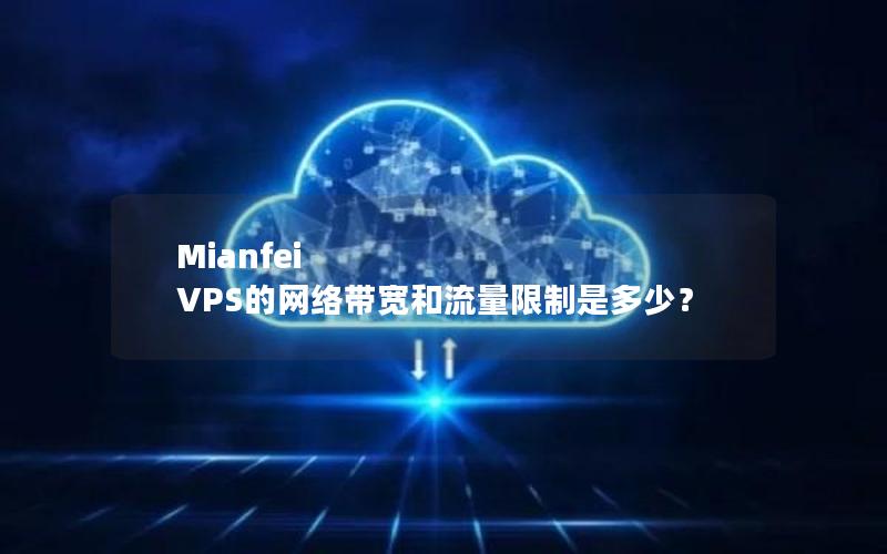 Mianfei VPS的网络带宽和流量限制是多少？