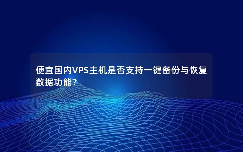 便宜国内VPS主机是否支持一键备份与恢复数据功能？