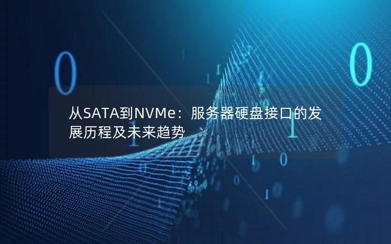 从SATA到NVMe：服务器硬盘接口的发展历程及未来趋势