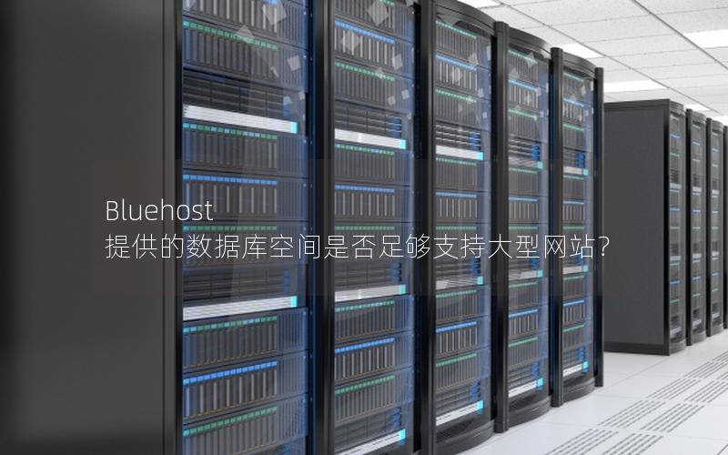 Bluehost 提供的数据库空间是否足够支持大型网站？