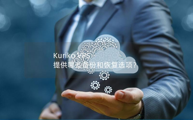 Kuriko VPS 提供哪些备份和恢复选项？