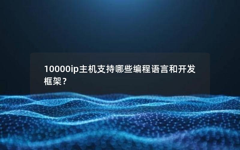 10000ip主机支持哪些编程语言和开发框架？