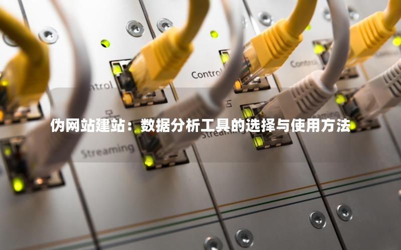 伪网站建站：数据分析工具的选择与使用方法