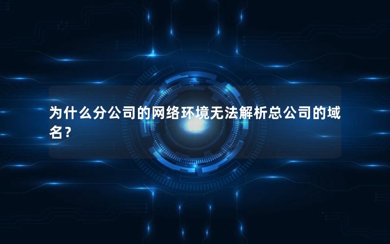 为什么分公司的网络环境无法解析总公司的域名？