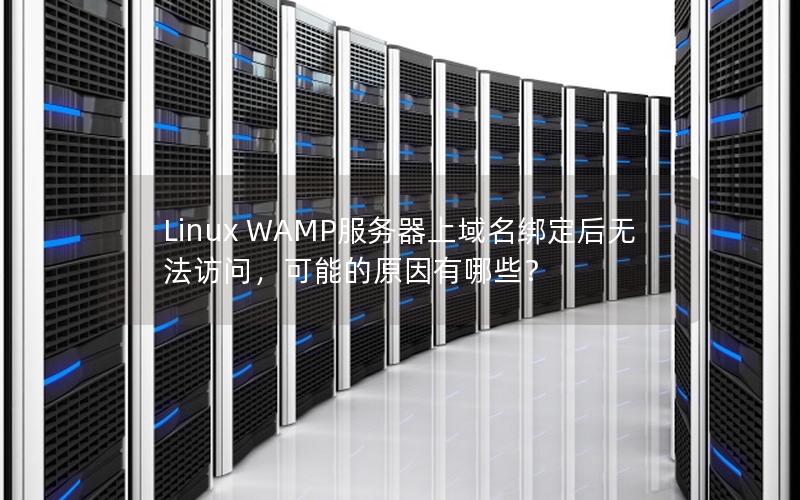 Linux WAMP服务器上域名绑定后无法访问，可能的原因有哪些？