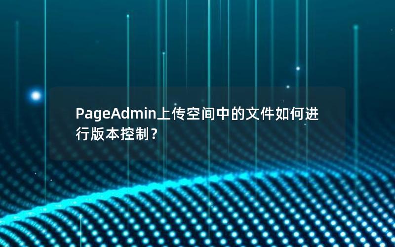 PageAdmin上传空间中的文件如何进行版本控制？