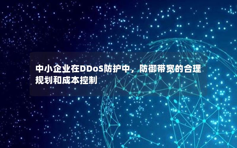 中小企业在DDoS防护中，防御带宽的合理规划和成本控制