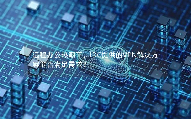 远程办公热潮下，IDC提供的VPN解决方案能否满足需求？