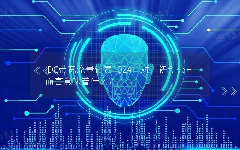 IDC带宽流量计费1024：对于初创公司而言意味着什么？