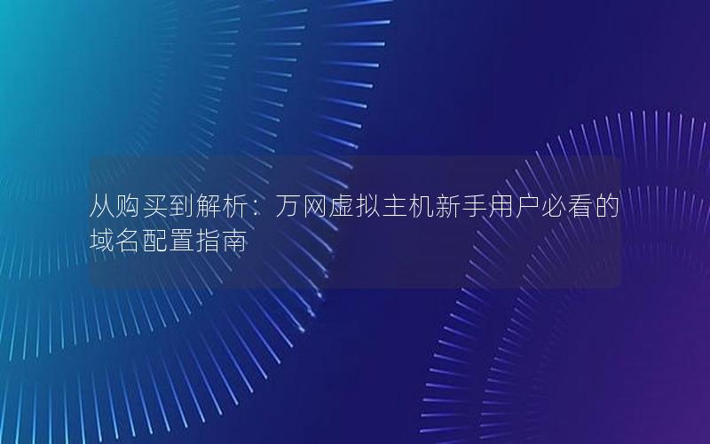 从购买到解析：万网虚拟主机新手用户必看的域名配置指南