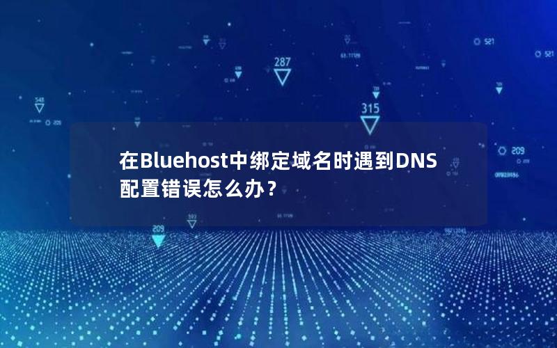 在Bluehost中绑定域名时遇到DNS配置错误怎么办？