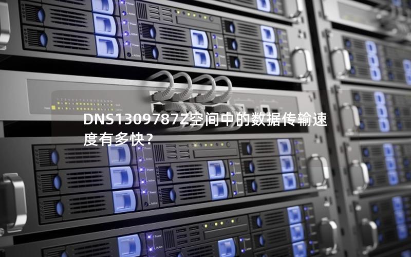 DNS1309787Z空间中的数据传输速度有多快？