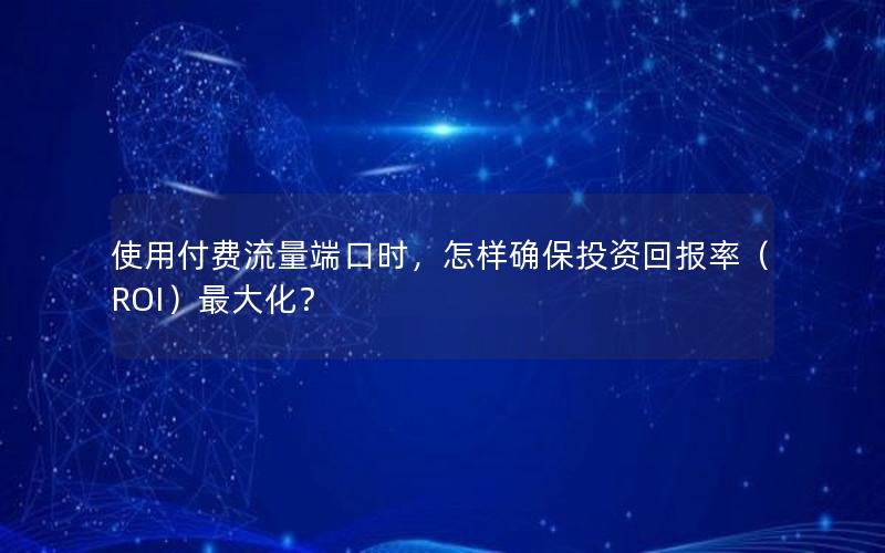 使用付费流量端口时，怎样确保投资回报率（ROI）最大化？