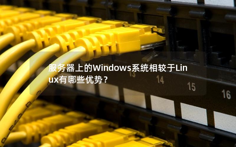 服务器上的Windows系统相较于Linux有哪些优势？