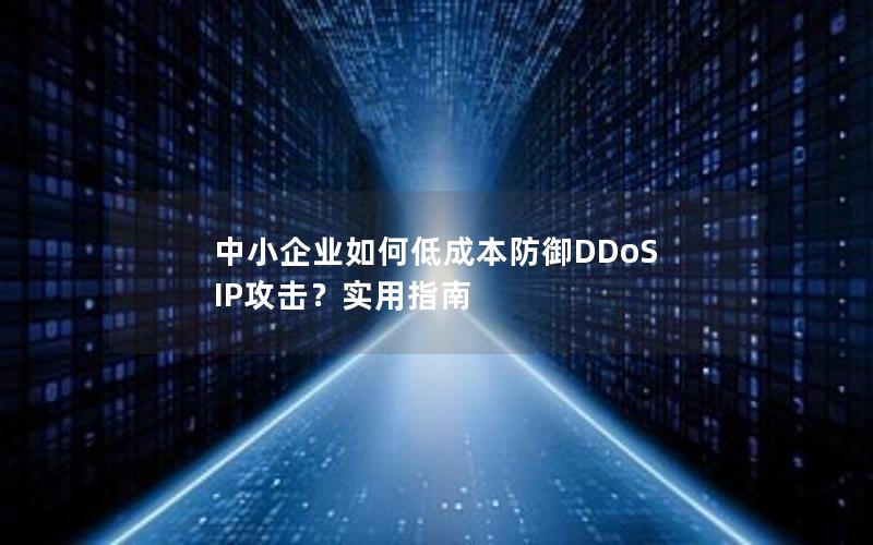 中小企业如何低成本防御DDoS IP攻击？实用指南