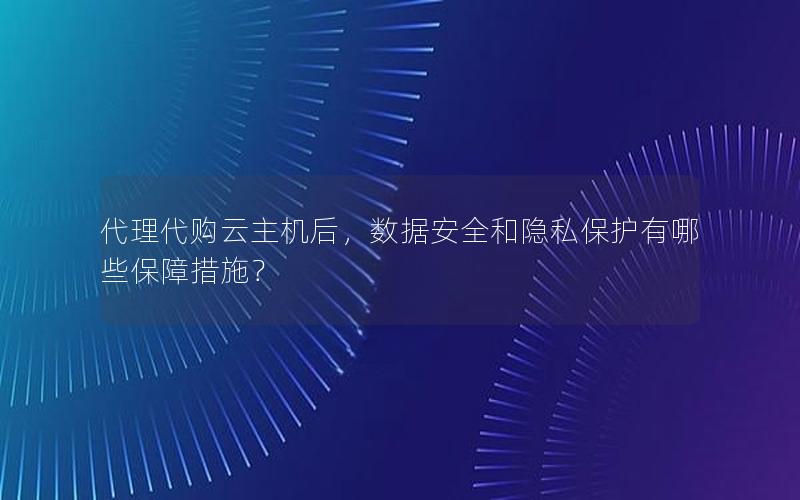 代理代购云主机后，数据安全和隐私保护有哪些保障措施？