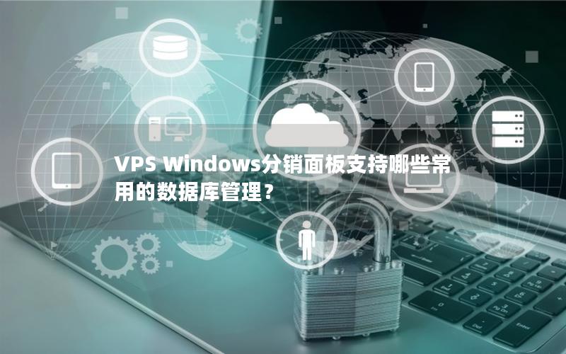 VPS Windows分销面板支持哪些常用的数据库管理？