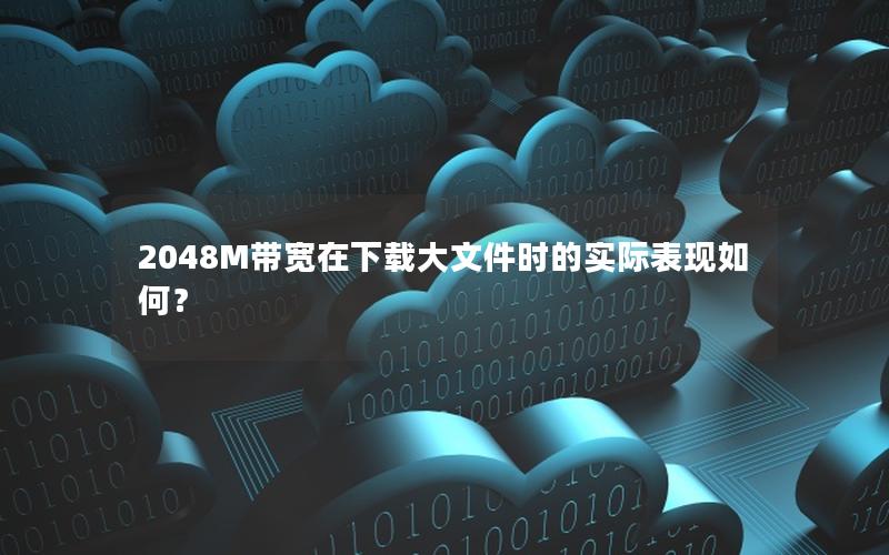 2048M带宽在下载大文件时的实际表现如何？