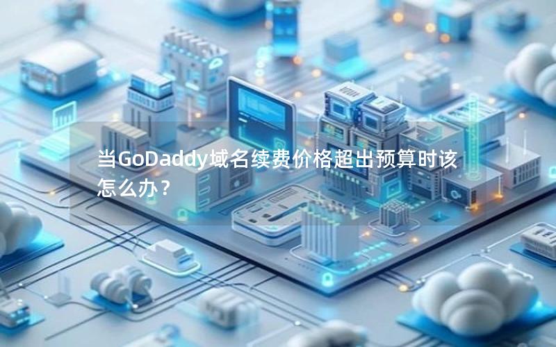 当GoDaddy域名续费价格超出预算时该怎么办？