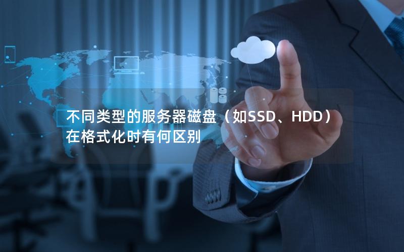 不同类型的服务器磁盘（如SSD、HDD）在格式化时有何区别