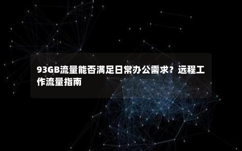 93GB流量能否满足日常办公需求？远程工作流量指南