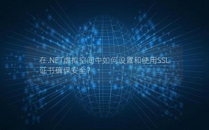 在.NET虚拟空间中如何设置和使用SSL证书确保安全？