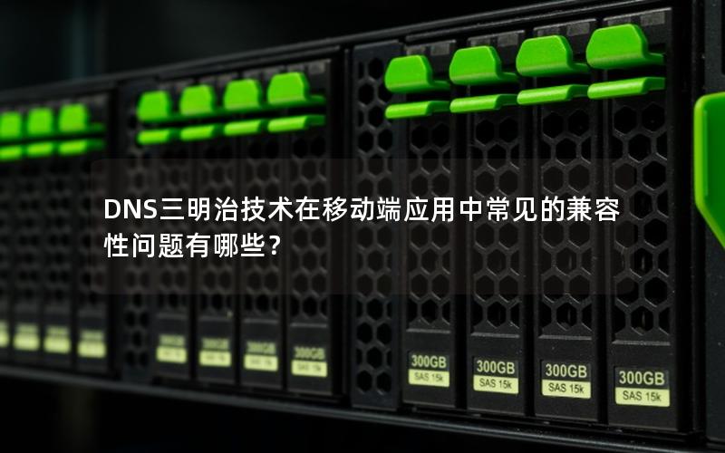 DNS三明治技术在移动端应用中常见的兼容性问题有哪些？