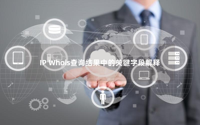 IP Whois查询结果中的关键字段解释