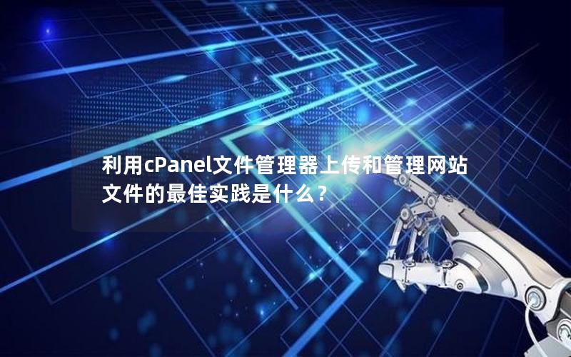 利用cPanel文件管理器上传和管理网站文件的最佳实践是什么？