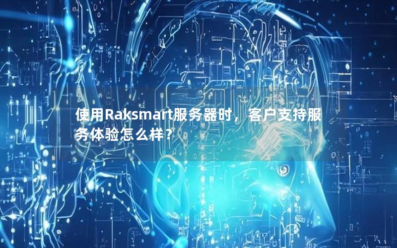 使用Raksmart服务器时，客户支持服务体验怎么样？