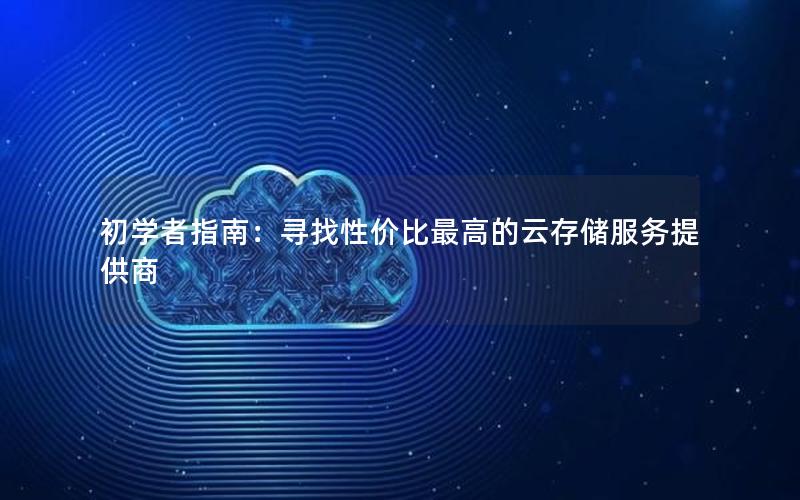 初学者指南：寻找性价比最高的云存储服务提供商