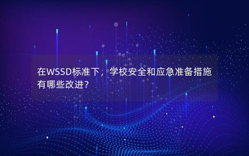 在WSSD标准下，学校安全和应急准备措施有哪些改进？